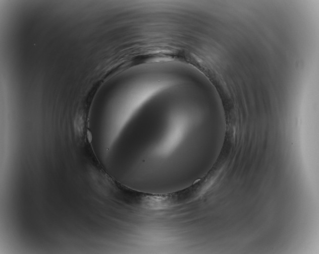X0000088920139200706081406