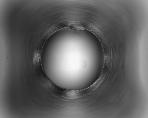 X0000088920142200706081406