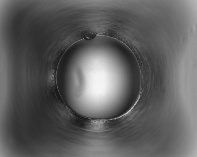 X0000088920144200706081406
