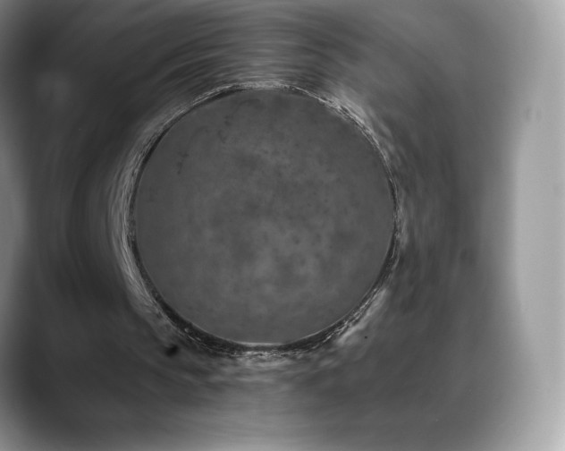 X0000088920145200706081405