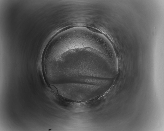 X0000088920147200706081405