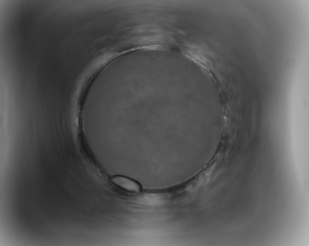 X0000088920149200706081405
