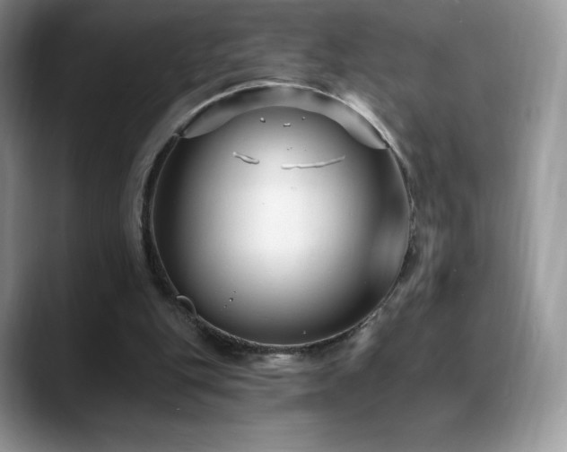 X0000088920151200706081405