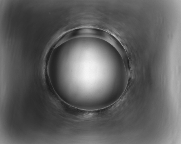 X0000088920152200706081405