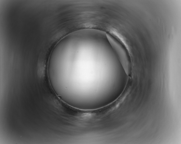 X0000088920153200706081405