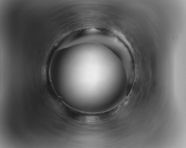 X0000088920154200706081405