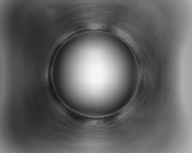 X0000088920155200706081405