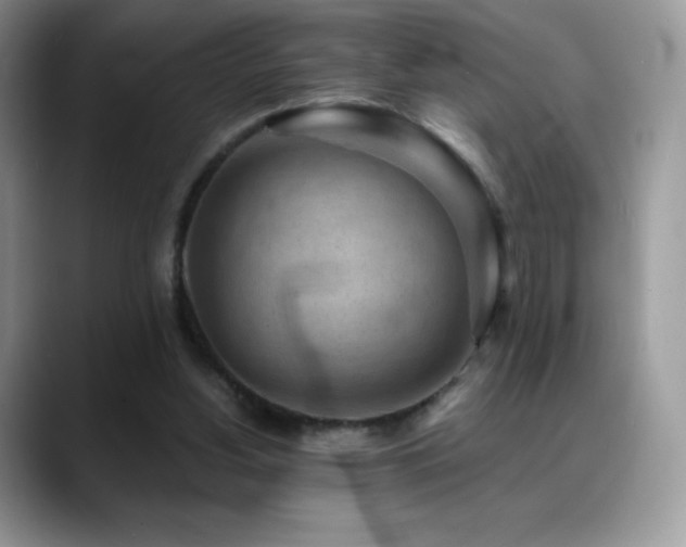 X0000088920156200706081405