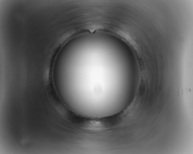 X0000088920159200706081405