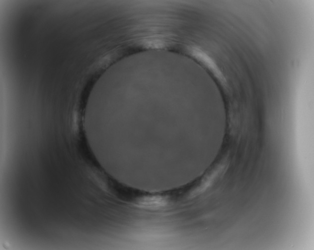 X0000088920161200706081405