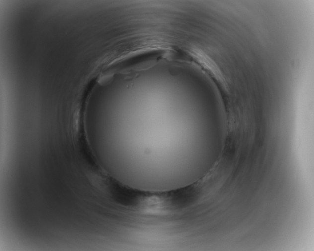 X0000088920163200706081405