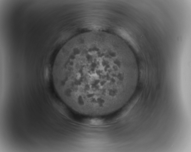 X0000088920165200706081405