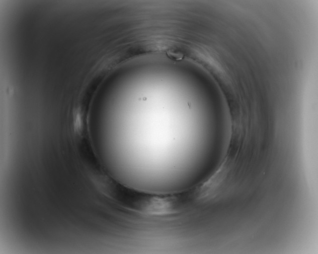 X0000088920166200706081405