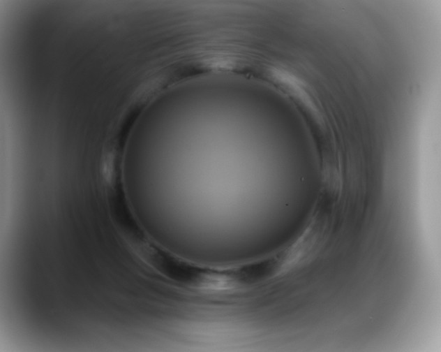 X0000088920167200706081406