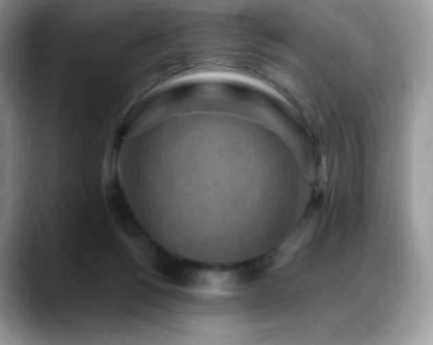 X0000088920168200706081406