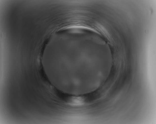 X0000088920169200706081406