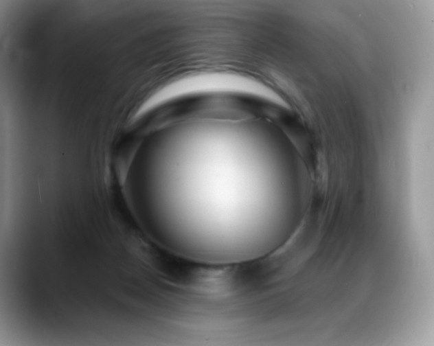 X0000088920170200706081406