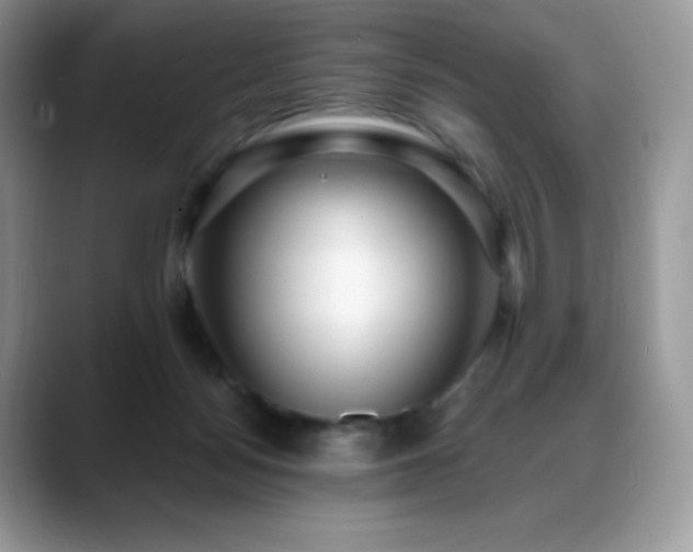 X0000088920172200706081406
