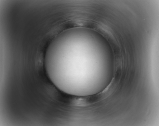 X0000088920174200706081406