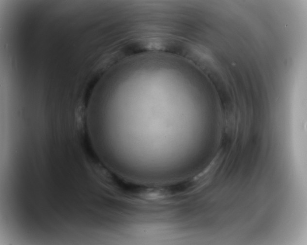 X0000088920175200706081406