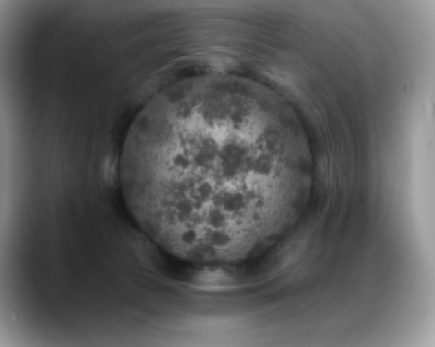 X0000088920177200706081406