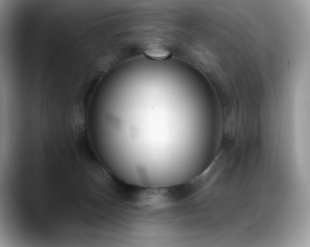 X0000088920179200706081406