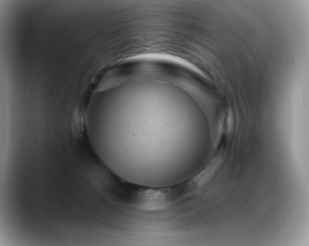 X0000088920180200706081406