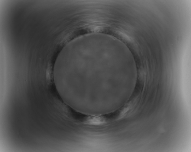 X0000088920181200706081406