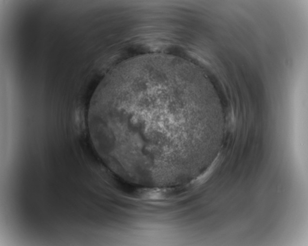 X0000088920182200706081406
