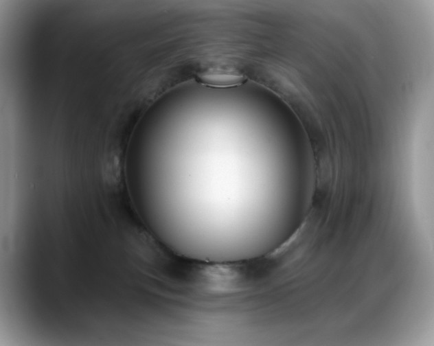 X0000088920183200706081406