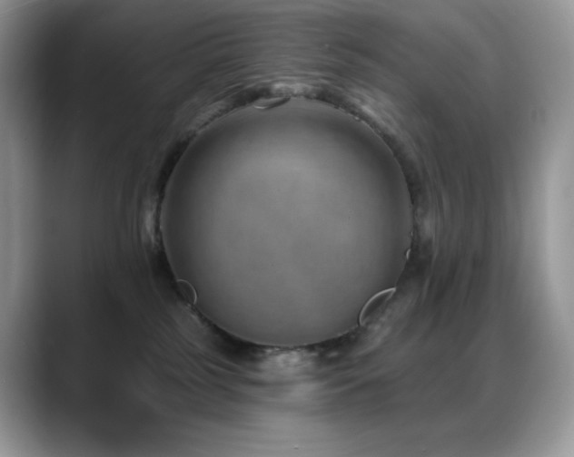 X0000088920185200706081406