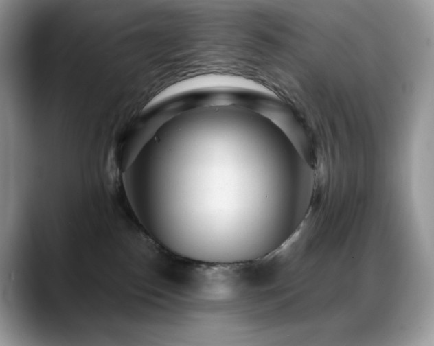 X0000088920186200706081406
