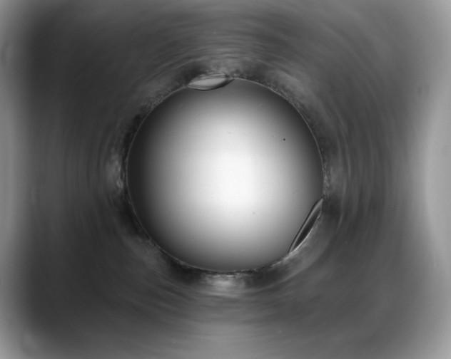 X0000088920187200706081406