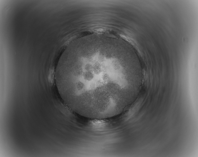 X0000088920189200706081406