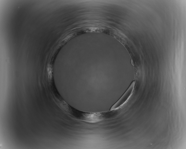 X0000088920191200706081406
