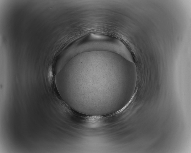 X0000088920192200706081406