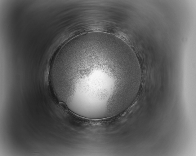 X0000088920194200706081405