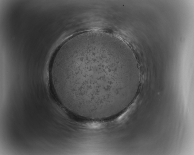 X0000088920198200706081405