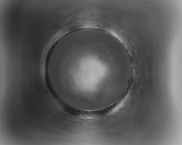 X0000088920199200706081405