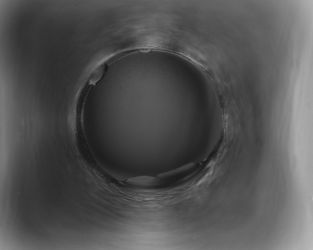 X0000088920200200706081405