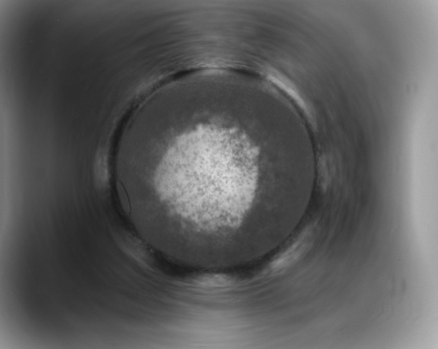 X0000088920203200706081405