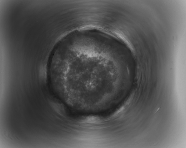 X0000088920204200706081405