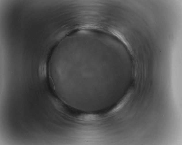 X0000088920205200706081405