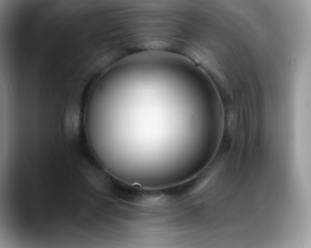 X0000088920206200706081405