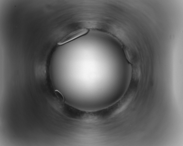 X0000088920207200706081405