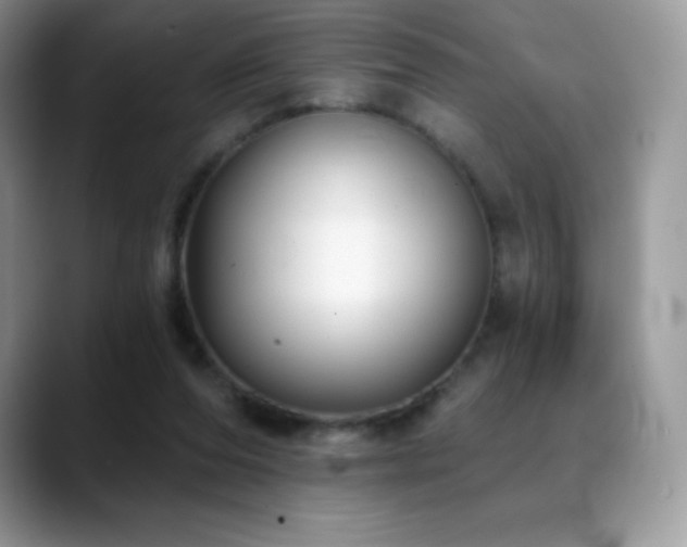 X0000088920208200706081405