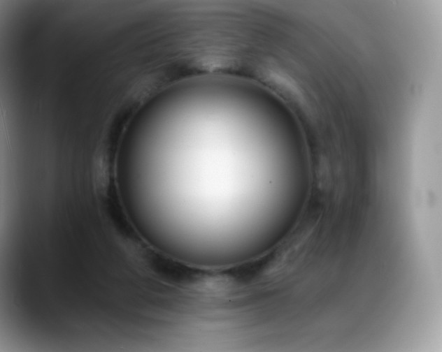 X0000088920210200706081405
