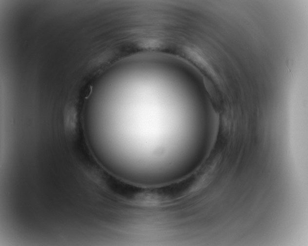X0000088920211200706081405