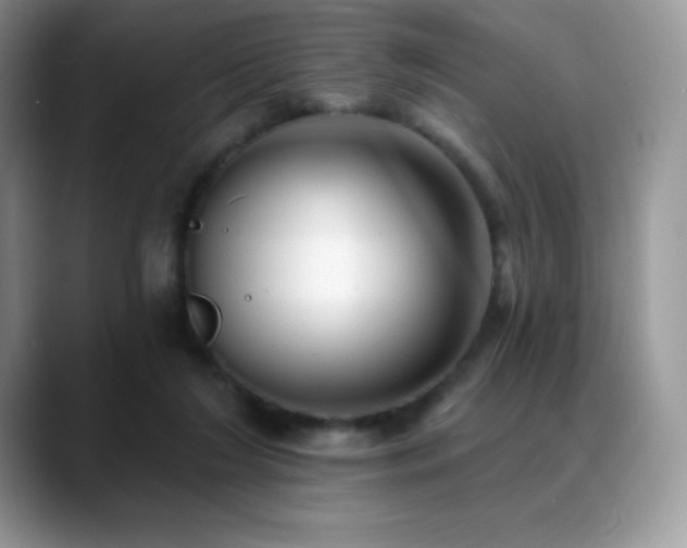 X0000088920212200706081405