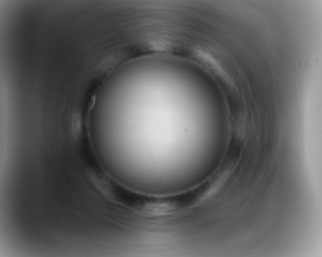 X0000088920213200706081405
